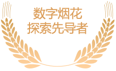数字烟花探索先导者