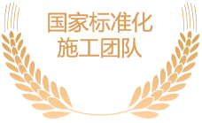 国家标准化施工团队